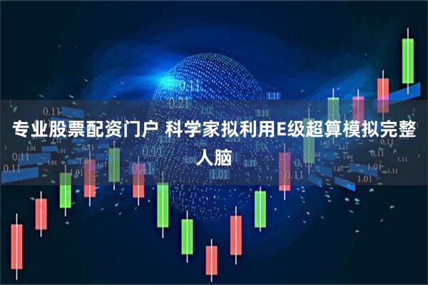 专业股票配资门户 科学家拟利用E级超算模拟完整人脑